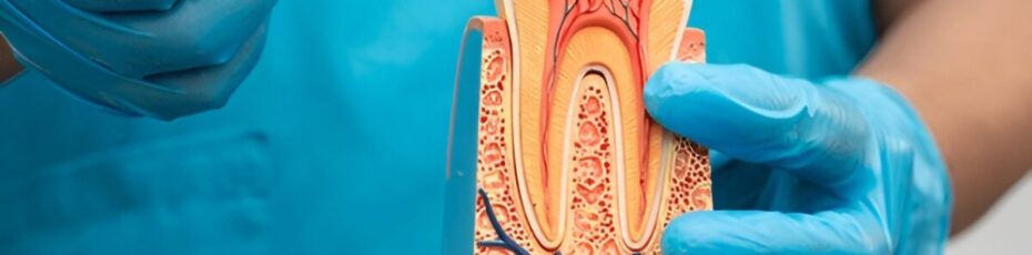 Can a Root Canal Save a Tooth From Extraction? Benefits and Effectiveness
